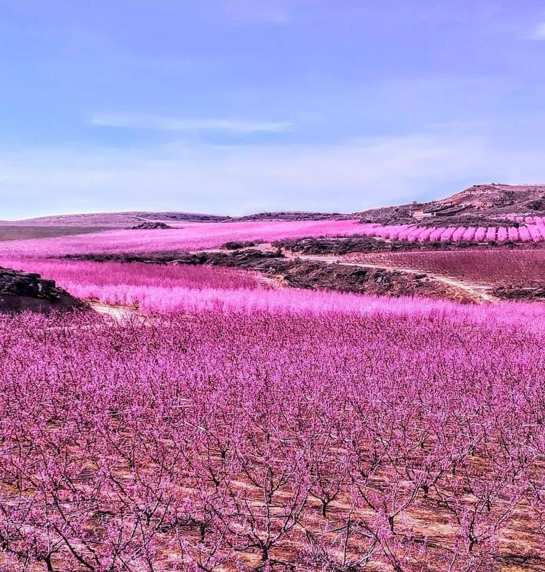 Casa Larrosa Rural En Sierra De Guara * Sieso de Huesca